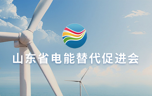 山東省電能替代促進(jìn)會(huì)